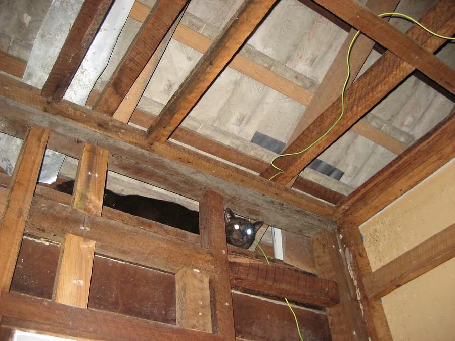 Bathroom Renovation Malvern — up close
